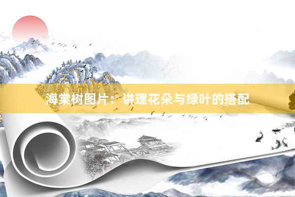 海棠树图片：讲理花朵与绿叶的搭配