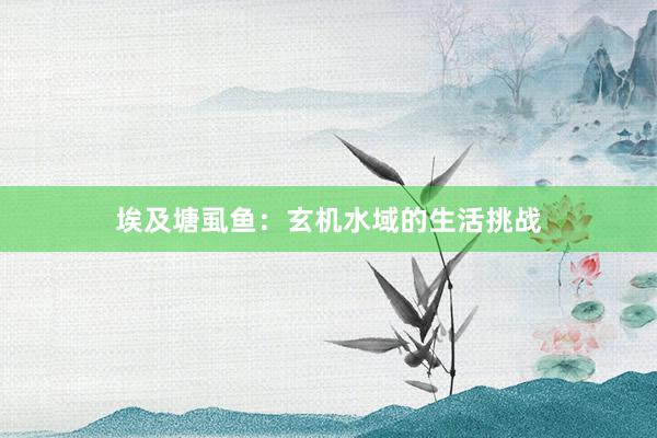 埃及塘虱鱼：玄机水域的生活挑战